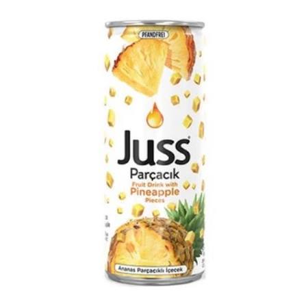 JUSS PARÇACIKLI ANANAS